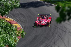 Wayne Williams' Radical SR10