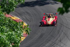 David Mason's Radical SR3 XXR 1500