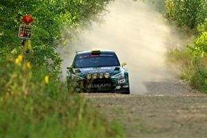 Alastair Scully / Stefan Trajkov Hyundai i20 R5 on SS7, Refuge II.