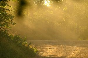 Dust hangs in the air creating corpuscular rays on SS7, Refuge II.