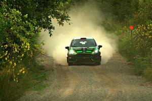 Nick Tippman / David Tippman Ford Fiesta ST on SS7, Refuge II.