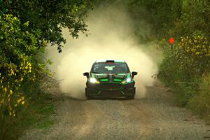 Nick Tippman / David Tippman Ford Fiesta ST on SS7, Refuge II.