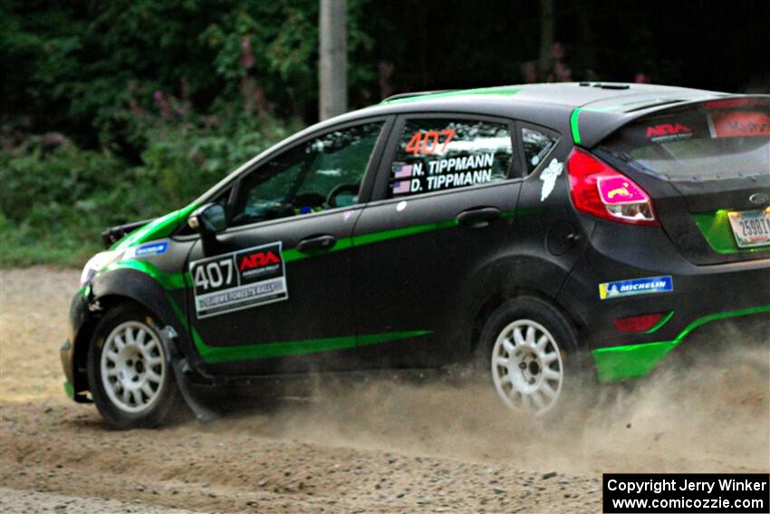 Nick Tippman / David Tippman Ford Fiesta ST on SS9, Steamboat II.