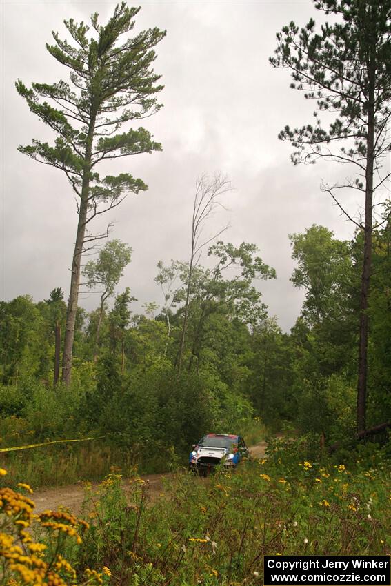 Henry Tabor / Dylan Hooker Ford Fiesta ST on SS11, Otterkill I.