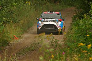 Mark Tabor / Kathryn Hansen Ford Fiesta ST on SS11, Otterkill I.