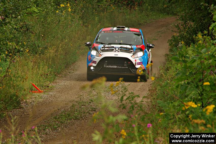Mark Tabor / Kathryn Hansen Ford Fiesta ST on SS11, Otterkill I.