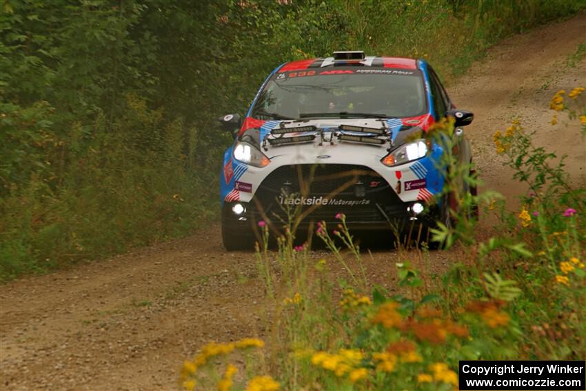 Mark Tabor / Kathryn Hansen Ford Fiesta ST on SS11, Otterkill I.