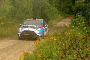 Mark Tabor / Kathryn Hansen Ford Fiesta ST on SS11, Otterkill I.