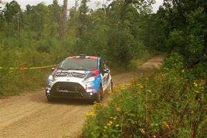 Mark Tabor / Kathryn Hansen Ford Fiesta ST on SS11, Otterkill I.