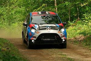 Mark Tabor / Kathryn Hansen Ford Fiesta ST on SS15, Otterkill II.