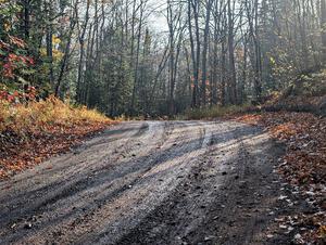 PXL_20251017_143629036