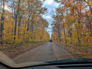 PXL_20251017_202118452