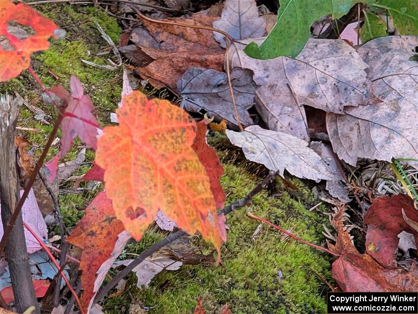 PXL_20251017_211609260