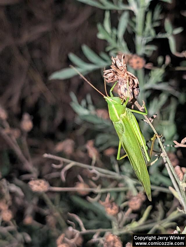 PXL_20251017_234813949