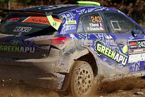 Patrick Gruszka / Florian Barral Hyundai i20 R5 on SS12, Two Mile Creek II.