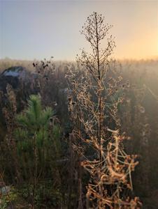 PXL_20251018_124934498