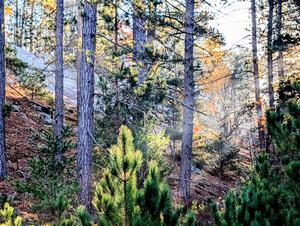 Very cool glacial outcropping alongside of SS9, Two Mile Creek I.
