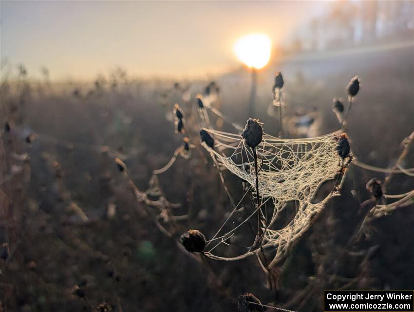 PXL_20251018_124901305