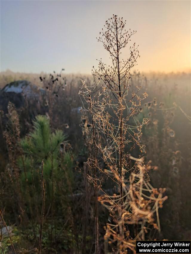 PXL_20251018_124934498