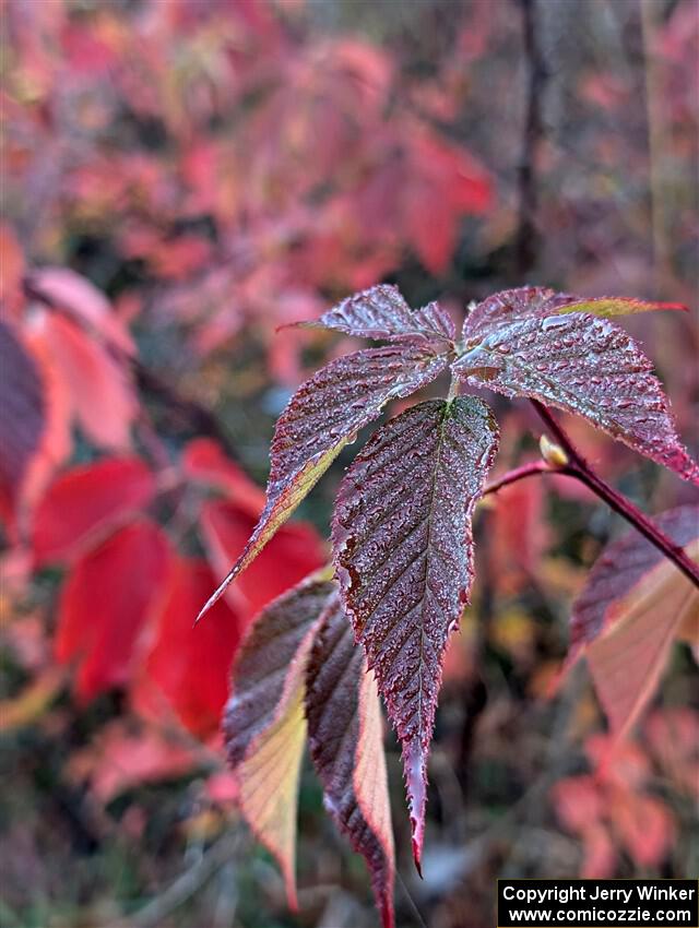 PXL_20251018_130707698.PORTRAIT