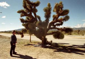 Tim Winker and a Joshua Tree