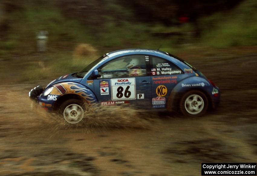 Mike Halley / Bill Montgomery VW New Beetle on Del Sur 1