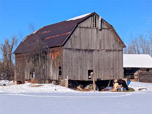 An old barn near the outskirts of Atlanta, Michigan.