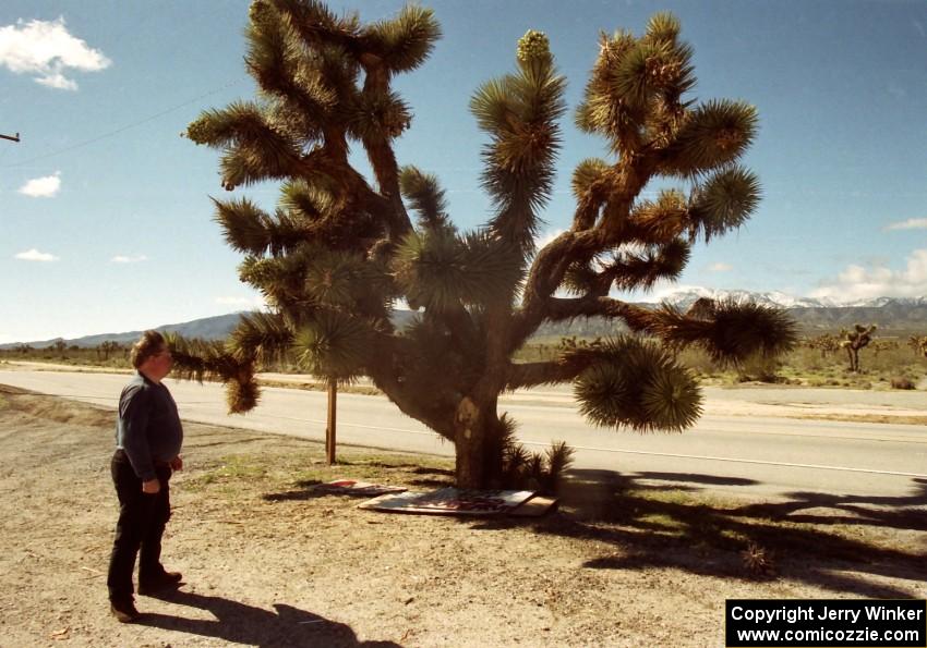 Tim Winker and a Joshua Tree