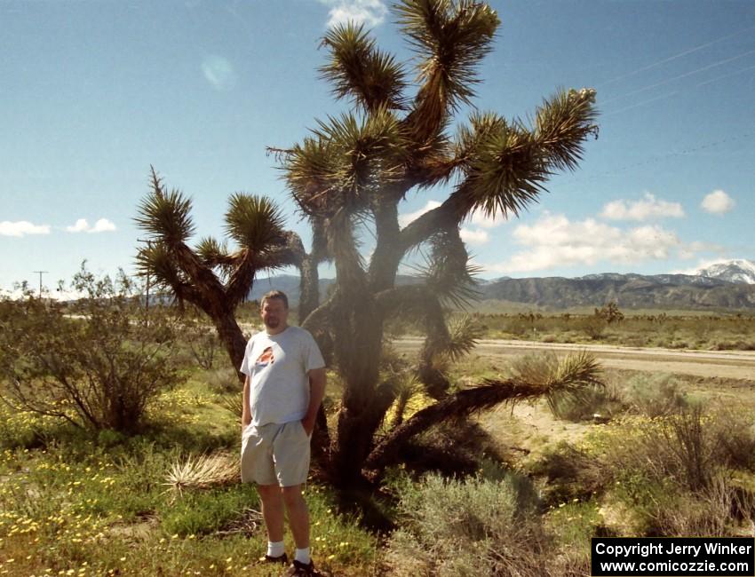 Jerry Winker and Joshua Tree