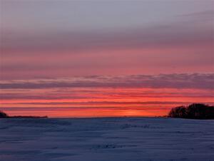 PXL_20260316_002856793