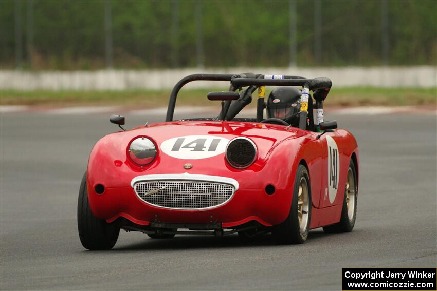 Tom Daly's Austin-Healey Sprite