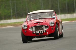 Scott McQueen's Austin-Healey 100-6