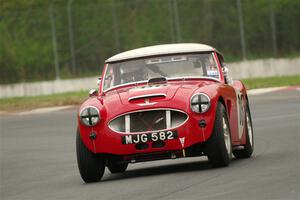 Scott McQueen's Austin-Healey 100-6