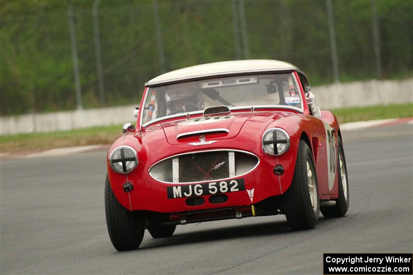 Scott McQueen's Austin-Healey 100-6