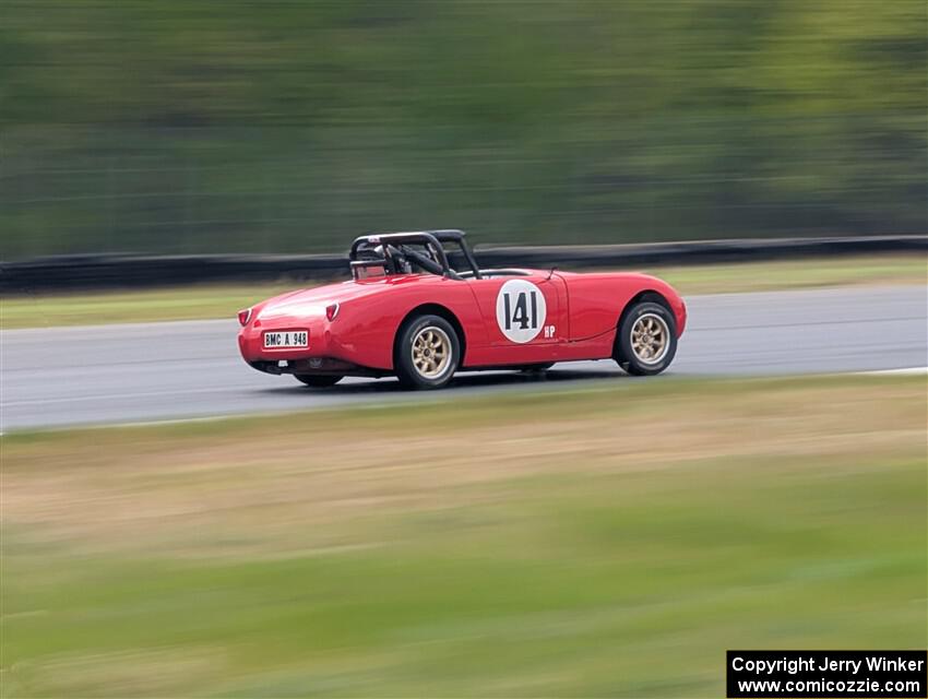 Tom Daly's Austin-Healey Sprite