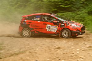 Nikhil Thakur / Brandon Pace Ford Fiesta ST on SS3, Woodtick Hollow.