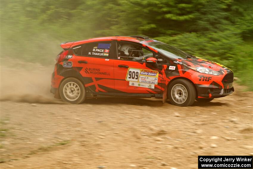 Nikhil Thakur / Brandon Pace Ford Fiesta ST on SS3, Woodtick Hollow.