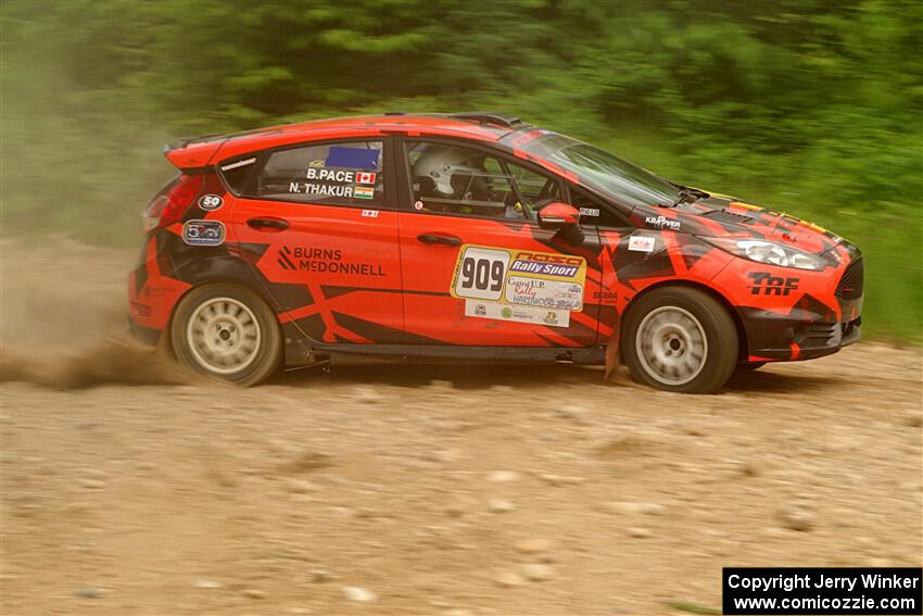 Nikhil Thakur / Brandon Pace Ford Fiesta ST on SS3, Woodtick Hollow.
