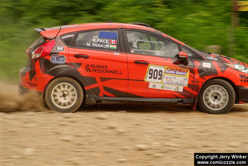 Nikhil Thakur / Brandon Pace Ford Fiesta ST on SS3, Woodtick Hollow.