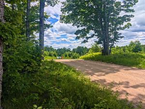 The glorious day and main intersection prior to the running of SS4, Hollow Woodtick.