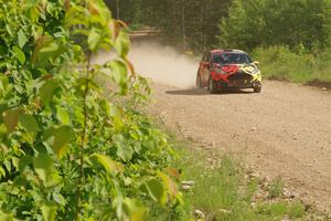 Nikhil Thakur / Brandon Pace Ford Fiesta ST on SS4, Hollow Woodtick.