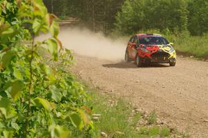 Nikhil Thakur / Brandon Pace Ford Fiesta ST on SS4, Hollow Woodtick.