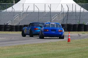 IMGP8417