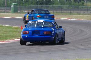 IMGP8456