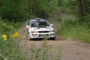 IMGP4542