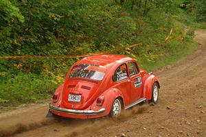IMGP6251