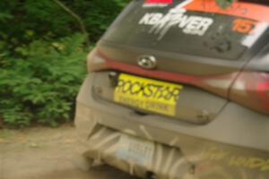 IMGP6295