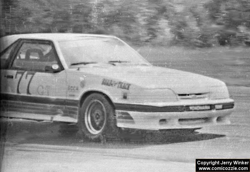 Dave Frezza / Gregg Doran / Geoff Provo Ford Saleen Mustang