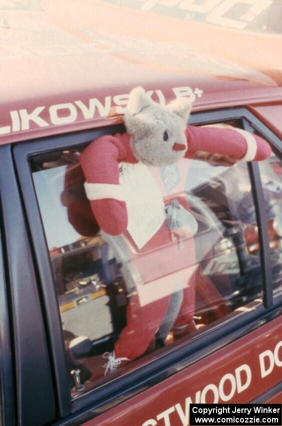 Earl the Dead Cat hangs out the window of the Henry Krolikowski / Cindy Krolikowski Dodge Omni.