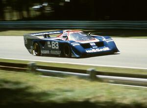 Elliott Forbes-Robinson / Geoff Brabham Nissan GTP ZX-T